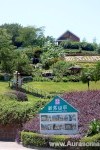 019_China - www.AurasomaaFengshui (19)-W1400.jpg